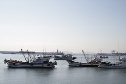 비응항(새만금 수산시장),국내여행,여행지추천