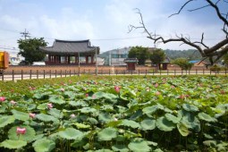 피향정 ,국내여행,여행지추천