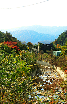 박달재의 옛길을 걷다