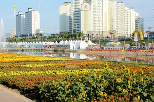 한반도의 톱니바퀴 증평,국내여행,음식정보