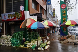 능금시장,재래시장,전통시장