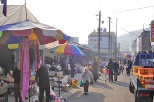 대곡시장,경상남도 진주시,전통시장,재래시장