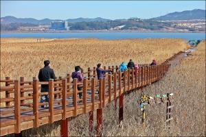 사랑과 추억을 안고 떠나는 낭만 여행지, 신성리갈대밭 ,국내여행,음식정보