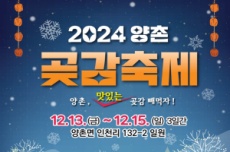 논산시, ‘맛있는 곶감 빼먹자!’ 12월을 물들일 양촌곶감축제 13일 개막, 국내여행, 여행정보