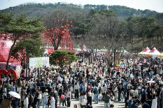 논산시, 세계로 가는 2025 논산딸기축제 27일 개막, 국내여행, 여행정보