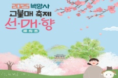 장성군 “29~30일 백양사 고불매 선‧매‧향 축제 열려”, 국내여행, 여행정보