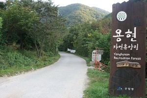 졸졸졸 맑은 물소리가 노래 같구나! 용현자연휴양림  ,충청남도 서산시