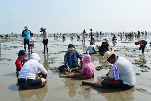 내달 3일부터 5일까지 개최될 '풍천장어와 함께하는 2018 고창갯벌축제' 