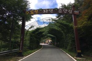 소나무와 계곡이 어우러진 합천 오도산 자연휴양림을 가다,경상남도 합천군