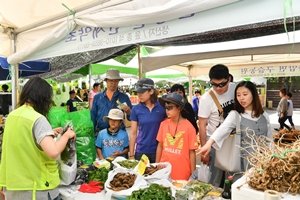 봄 향기 가득한 2019 정선 곤드레 산나물축제 5월 4일 개막