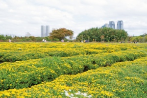 울산시, 2025-2026 한국관광 100선 울산 대표 관광지 3곳 선정 