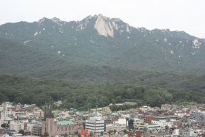 도봉산 계곡따라 능소화가 지천,경기도 의정부시