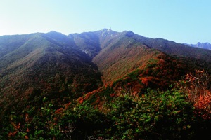 충남 제일의 명산, 계룡산