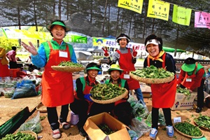 용문산 가득 퍼지는 향긋함, 양평산나물축제