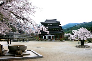 모악산으로 마실을 떠나다, ‘모악산 마실길’,전라북도 김제시