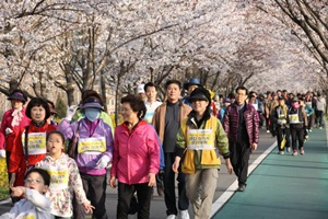 말 그대로 금천 ‘벚꽃로’,국내여행,음식정보