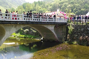 천 년의 꽃, 주왕산 수달래 축제,경상북도 청송군