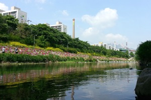 오랜 친구 같은 도심 속 쉼터, 우이천,서울특별시 강북구