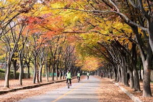 인천의 너른 쉼터, 인천대공원