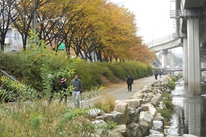 화려한 전성기 다시 누비는 서대문구,서울특별시 서대문구