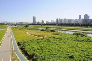 서울생태계 보고서, 양천구 안양천의 모든 것