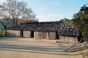 울릉도의 유일한 평지, 나리분지 ,국내여행,음식정보