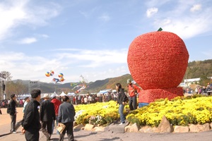 청송 사과 맛 보러 갈까? 청송사과축제,국내여행,음식정보